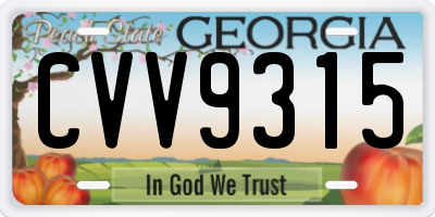 GA license plate CVV9315