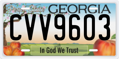 GA license plate CVV9603