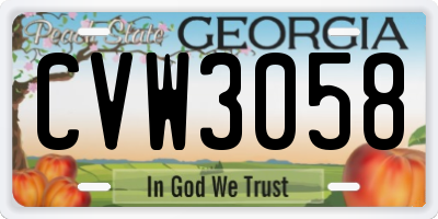 GA license plate CVW3058
