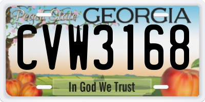 GA license plate CVW3168