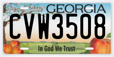 GA license plate CVW3508