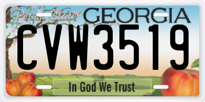 GA license plate CVW3519