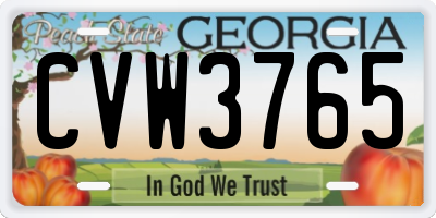 GA license plate CVW3765