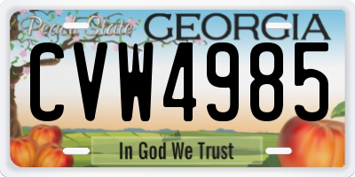 GA license plate CVW4985