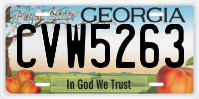 GA license plate CVW5263