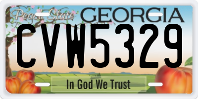 GA license plate CVW5329