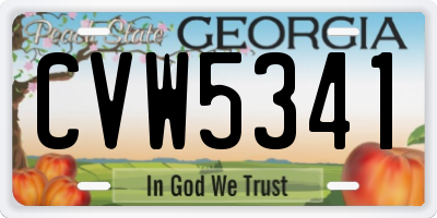 GA license plate CVW5341