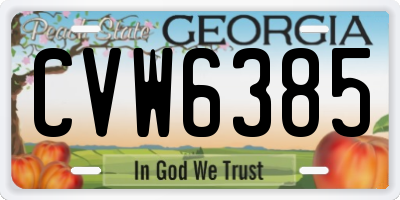 GA license plate CVW6385