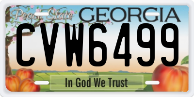 GA license plate CVW6499