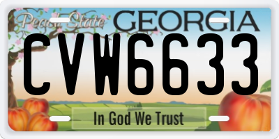 GA license plate CVW6633