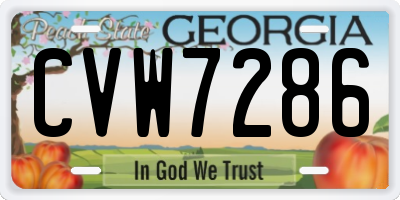 GA license plate CVW7286