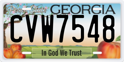 GA license plate CVW7548