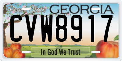 GA license plate CVW8917