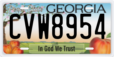 GA license plate CVW8954