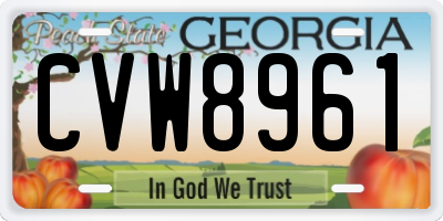 GA license plate CVW8961