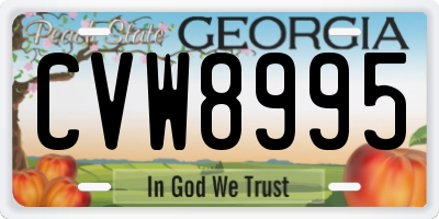 GA license plate CVW8995