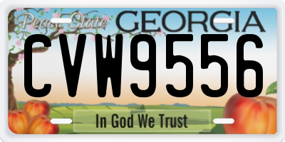 GA license plate CVW9556