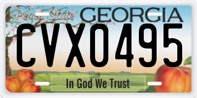 GA license plate CVX0495