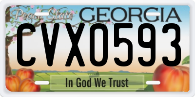 GA license plate CVX0593