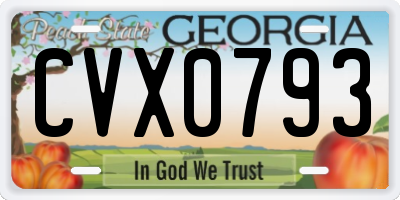 GA license plate CVX0793