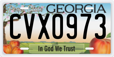 GA license plate CVX0973