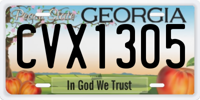 GA license plate CVX1305