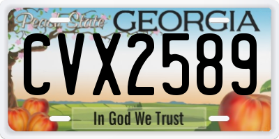 GA license plate CVX2589