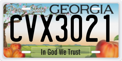GA license plate CVX3021