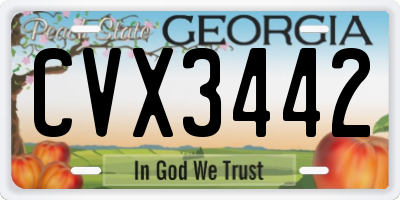 GA license plate CVX3442