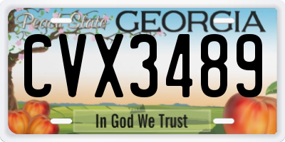 GA license plate CVX3489