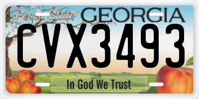 GA license plate CVX3493