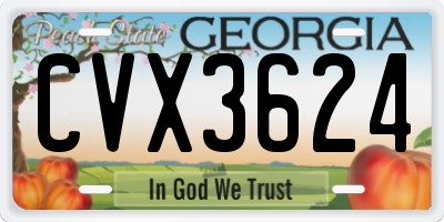 GA license plate CVX3624