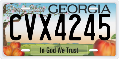 GA license plate CVX4245