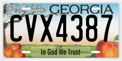 GA license plate CVX4387