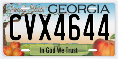 GA license plate CVX4644
