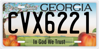 GA license plate CVX6221