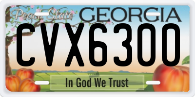 GA license plate CVX6300