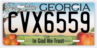 GA license plate CVX6559