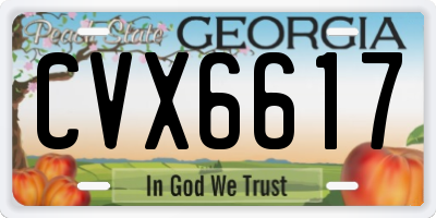 GA license plate CVX6617