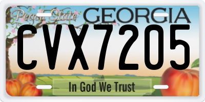 GA license plate CVX7205