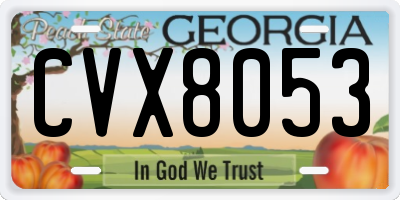 GA license plate CVX8053