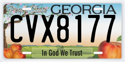 GA license plate CVX8177