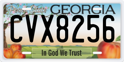 GA license plate CVX8256