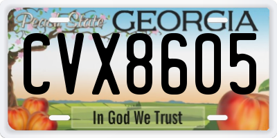 GA license plate CVX8605
