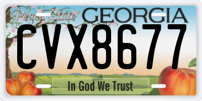 GA license plate CVX8677