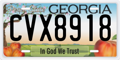 GA license plate CVX8918