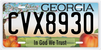 GA license plate CVX8930