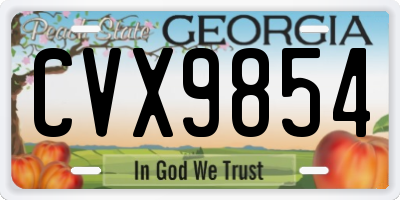 GA license plate CVX9854