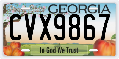GA license plate CVX9867