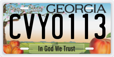 GA license plate CVY0113